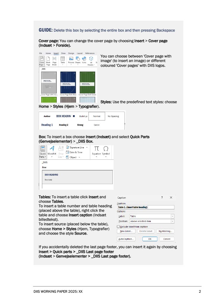 DIIS-Working-Paper-2025-5